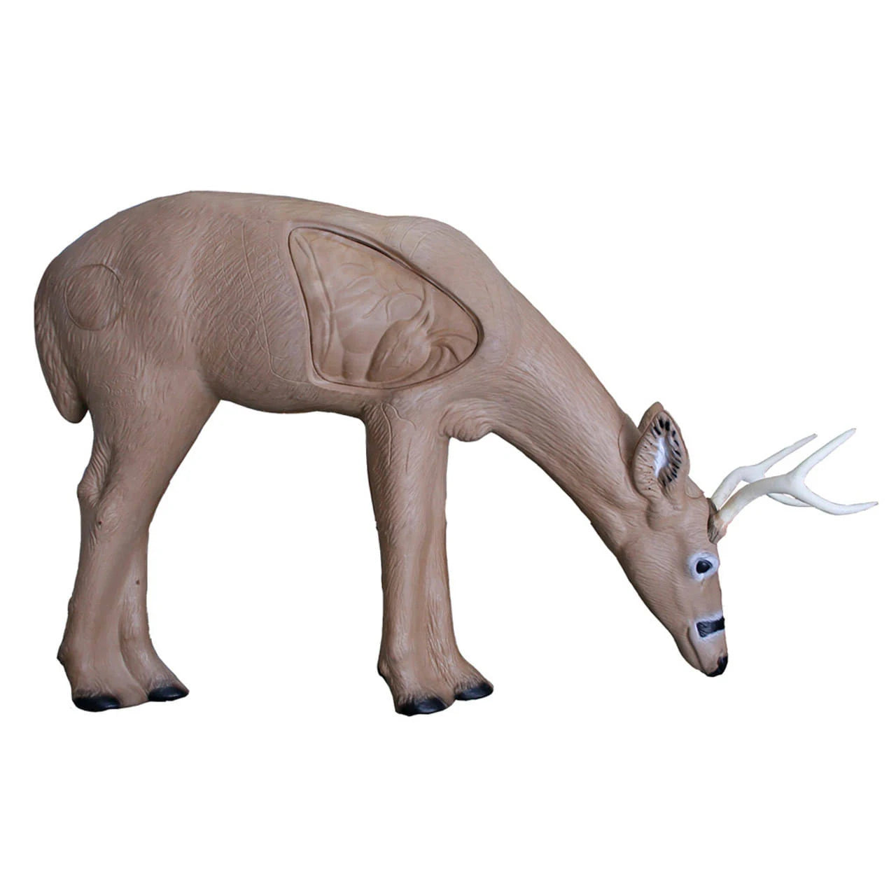 Rinehart Vital Buck