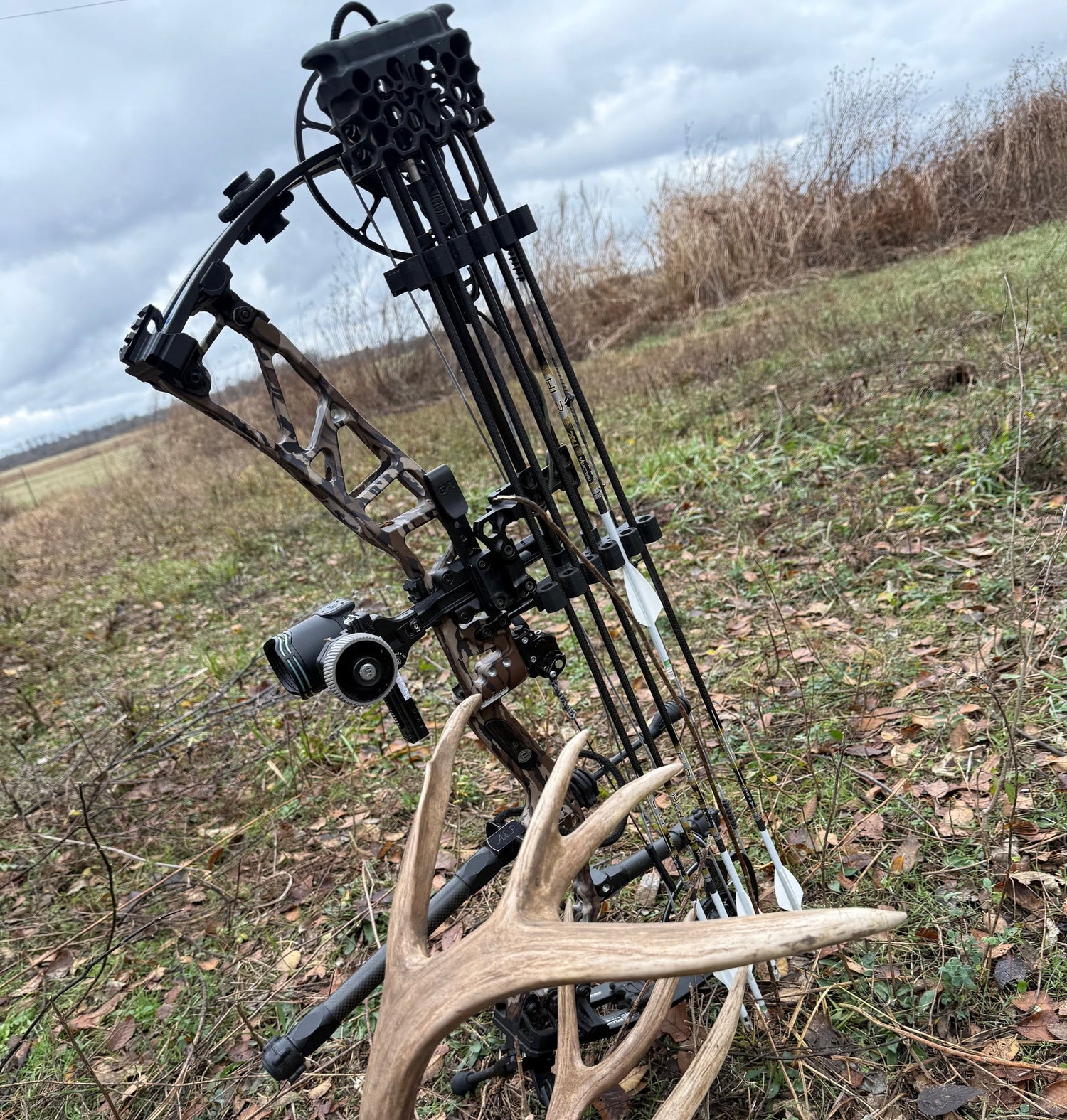 Bows